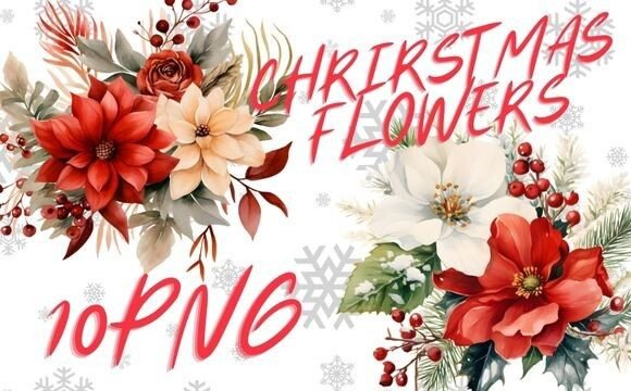 Christmas Flowers Sublimations: Illustrations for Branding